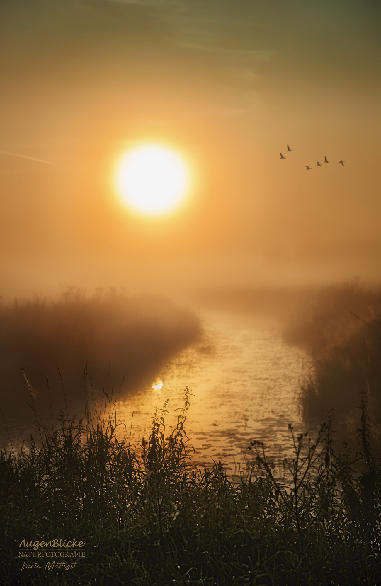 Sonnenaufgang im Nebel am Fließgraben bei Oranienbaum-Wörlitz
